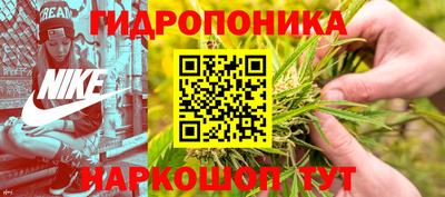 мдпв Партизанск