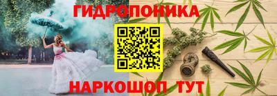 мдпв Партизанск