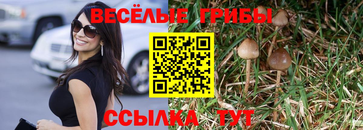Сухой Лог  Галлюциногенные грибы Psilocybine cubensis  Вход с VPN 
